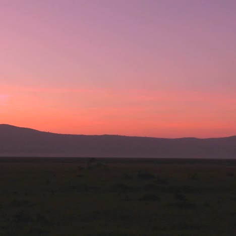 Schöne-Akazien-Bei-Sonnenaufgang-Auf-Den-Ebenen-Afrikas