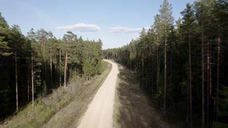 quick aerial dolly along sandy dirt road between pine tree forest under blue sky