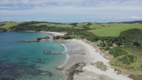 picturesque landscape of tawharanui regional park in summer with turquoise blue water in the ocean in auckland, new zealand