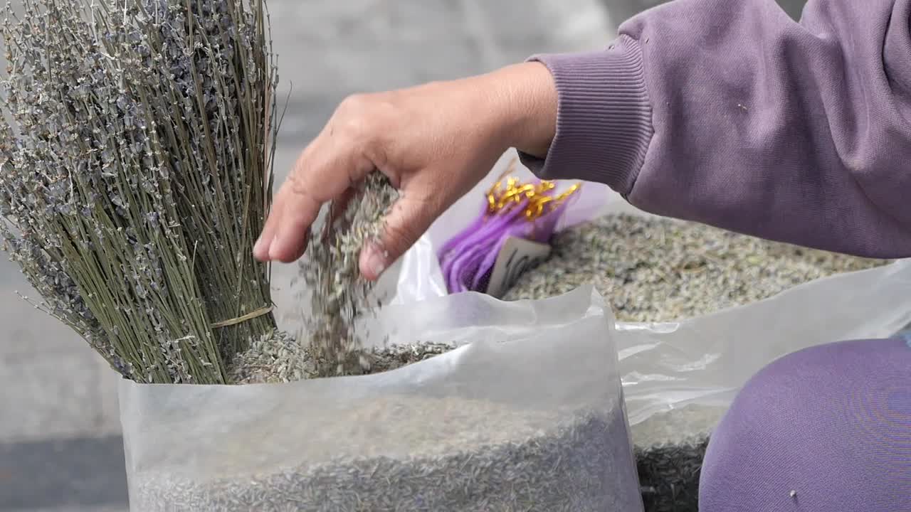 Person's Hand Scooping Dried Lavender