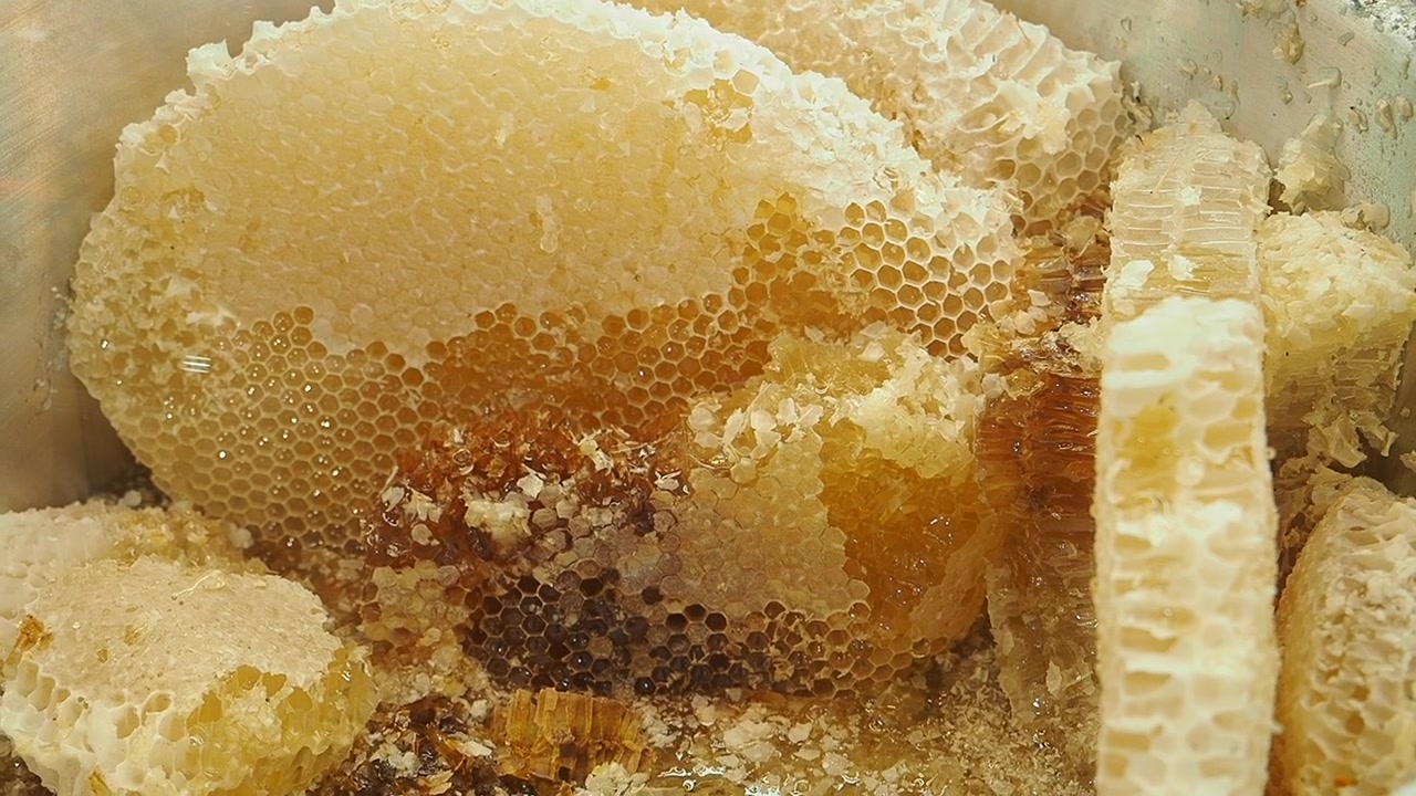 Pezzi di favo fresco in una ciotola di metallo