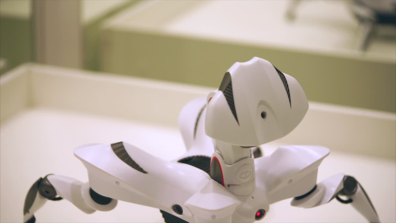 White Robot Toy Display