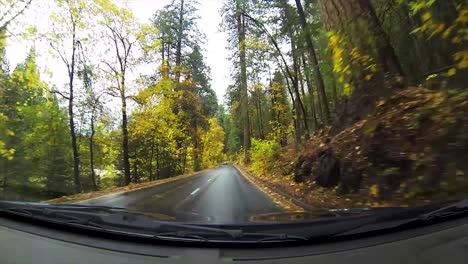 conduciendo por el bosque bajo la lluvia