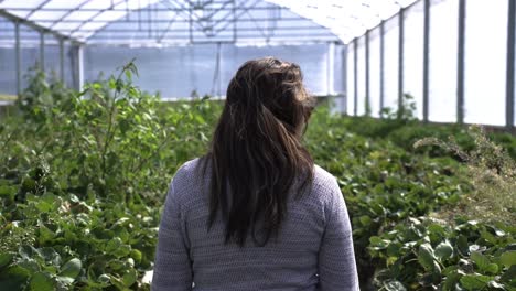 rear of a female south asian visiting a fruit farm during summer