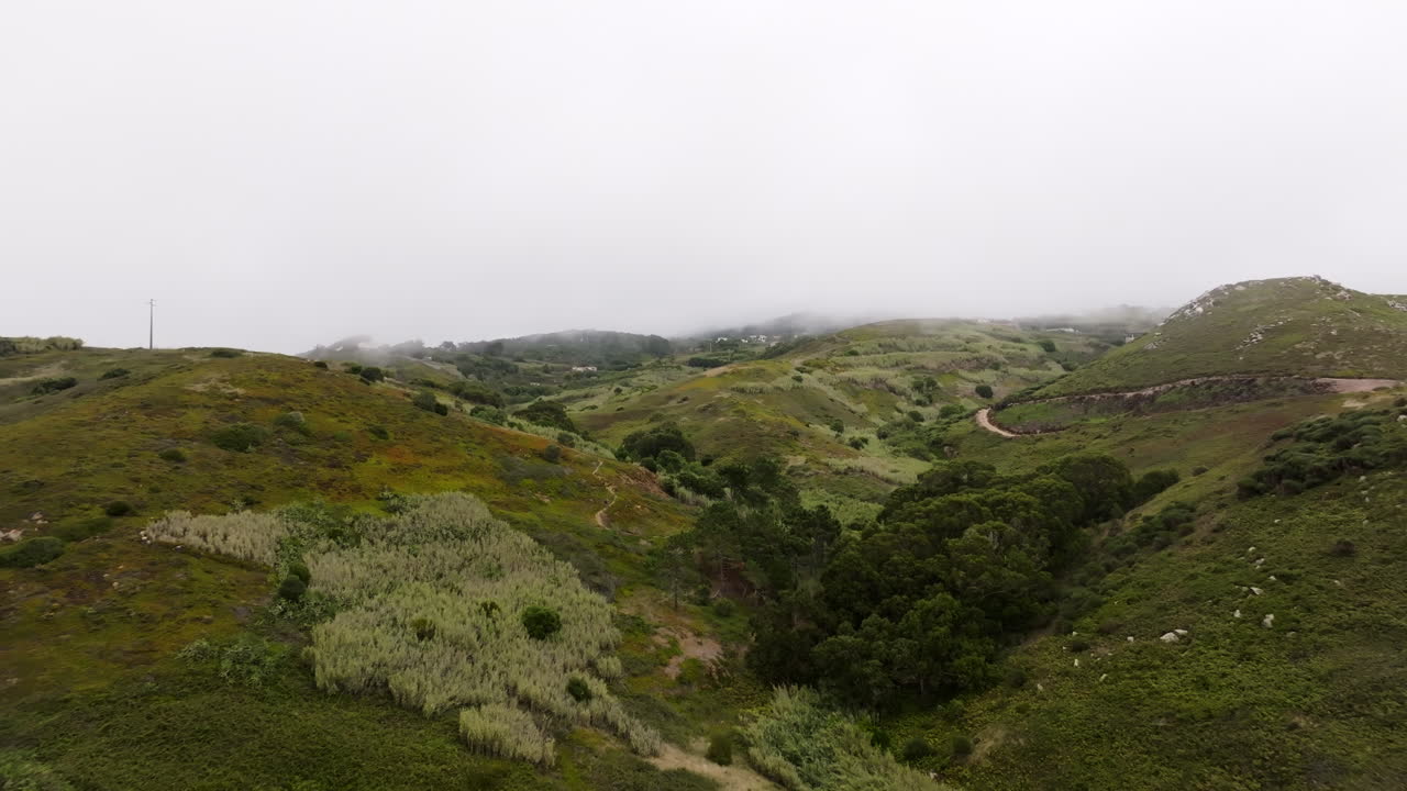 Paisaje montañoso de niebla