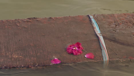 close up of deflowered flower and piece of fabric tangled in concrete in river