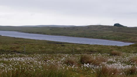 Schwenkaufnahme-Eines-Sees-Im-Moor--Und-Torfland-Der-äußeren-Hebriden