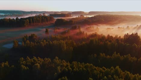 Tiro-De-Drone-Colorido-De-Un-Bosque-De-Niebla-Al-Amanecer