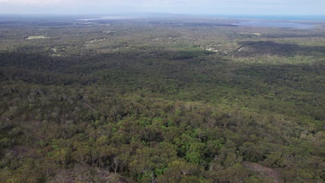 Aerial View Of Green Forest Trees, Tewantin Forest Reserve In Queensland, Australia