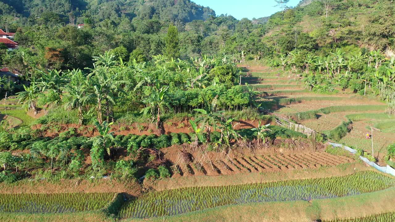 테라스가 있는 산에 자리잡은 마을