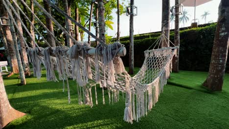 Empty-white-hammocks-installed-between-trees-on-green-grass