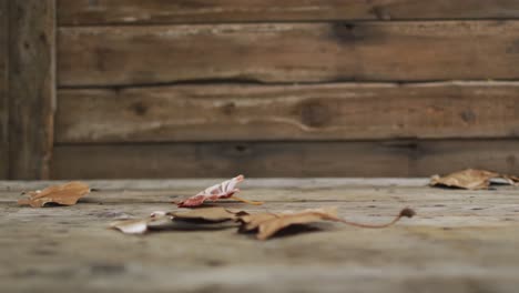 Close-up-view-of-autumn-leaves-flying-through-air-against-wooden-surface