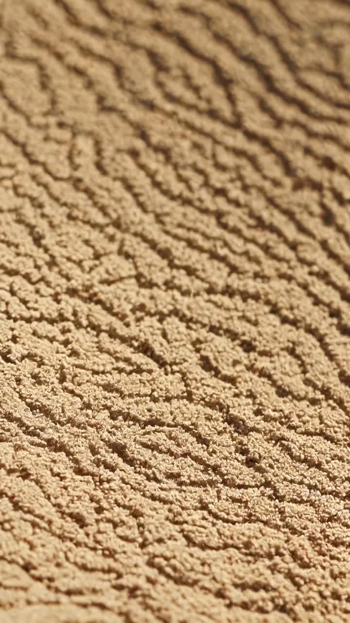 Close-up texture of cracked desert soil, shot from a low angle