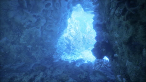 underwater cave with fish