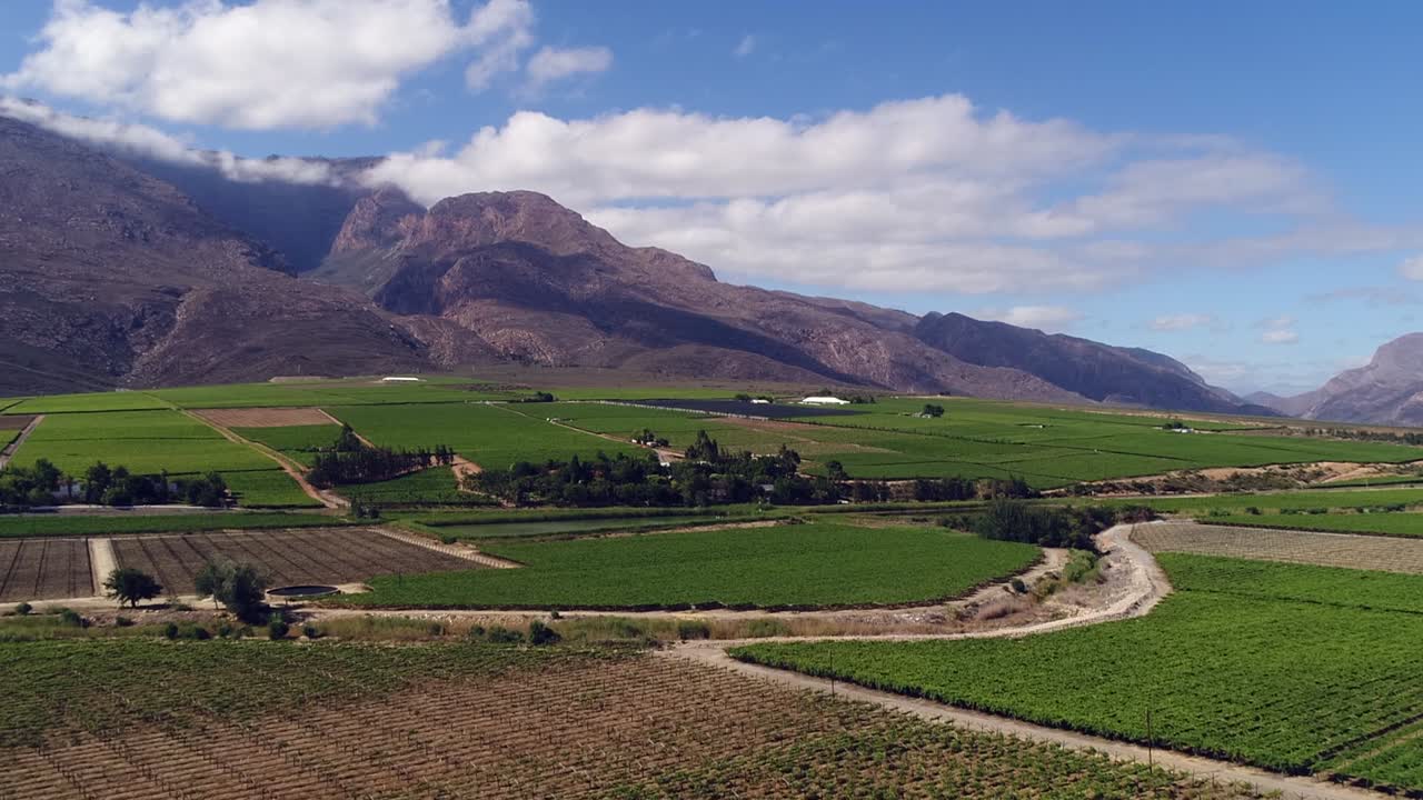 Vuelo bajo y soleado sobre campos de huertos en un exuberante valle verde, Sudáfrica.