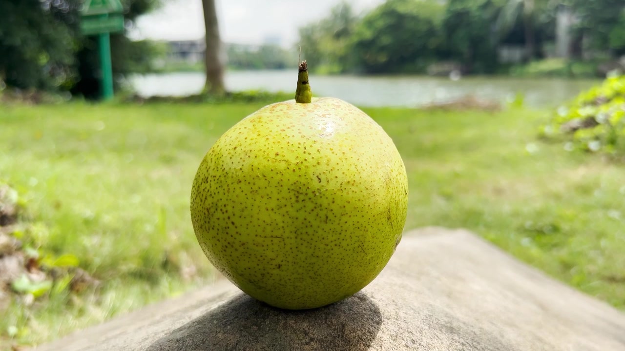 Pera verde fresca appoggiata su una roccia in un parco.