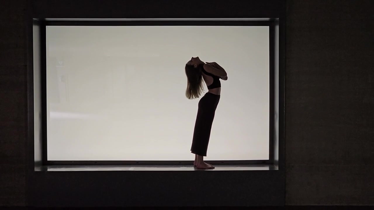 創造的な芸術的フレームに美しく収められた、躍動感あふれるシルエットダンスの動き。