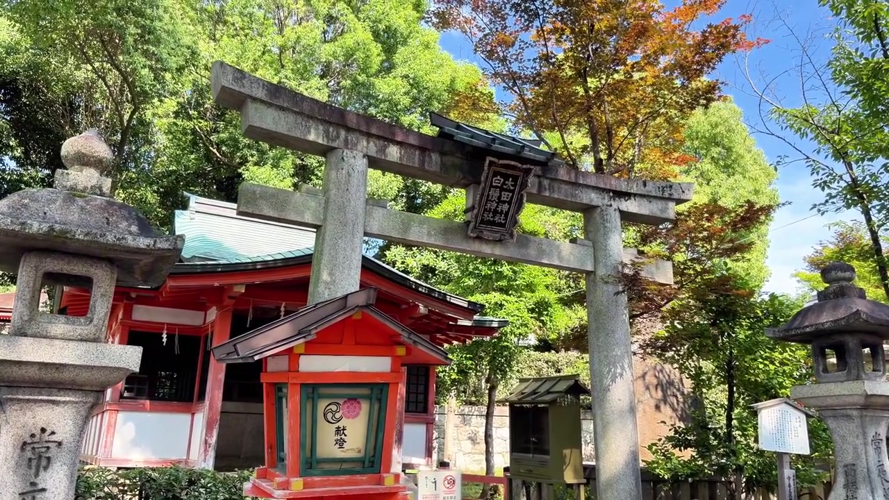 Porte torii en pierre et lanternes à l'entrée d'un sanctuaire, entourés d'arbres verts luxuriants.