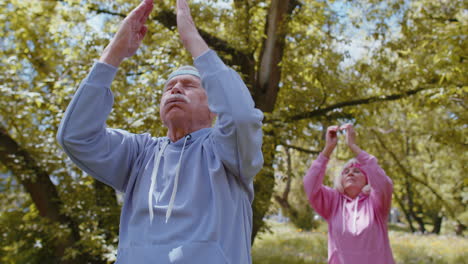 fitness atlético deporte sénior hombre mujer abuelos grupo practicando yoga entrenamiento cardio en el parque