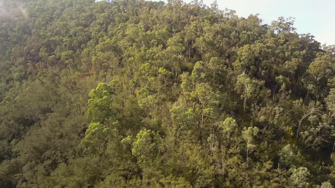 niebla matutina sobre las faldas de las montañas