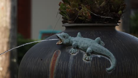 water streams from lizard sculpture fountain