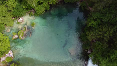 kamniška bistrica spring - magnífica naturaleza verde eslovena con aguas cristalinas de color turquesa y árboles exuberantes