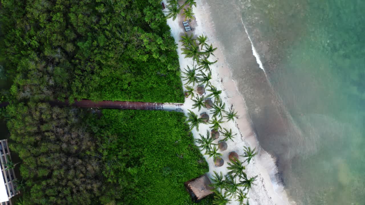 vista aérea de drones a vista de pájaro de una hermosa playa tropical de vacaciones con agua azul cristalina, arena blanca, palmeras y un camino que va desde un resort hasta la playa en riviera maya, méxico