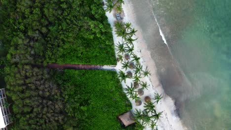 Aerial-bird's-eye-drone-view-of-a-beautiful-tropical-vacation-beach-with-crystal-clear-blue-water,-white-sand,-palm-trees,-and-a-path-leading-from-a-resort-to-the-beach-in-Riviera-Maya,-Mexico