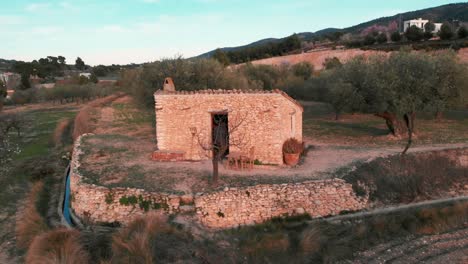 Antigua-Casa-De-Piedra-En-Medio-De-Olivares-Mediterráneos,-Un-Hombre-Prepara-La-Mesa-Para-El-Almuerzo-A-Principios-De-La-Primavera