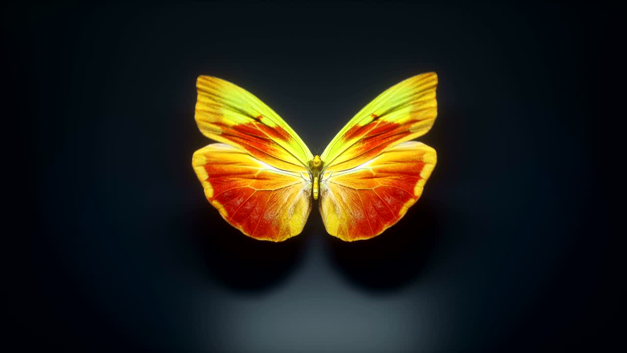3D-Animation eines schönen gelben Schmetterlings