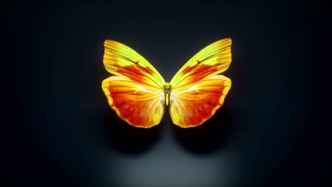 animación en 3d de una hermosa mariposa de color amarillo