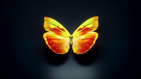 3d animation of a beautiful yellow colored butterfly