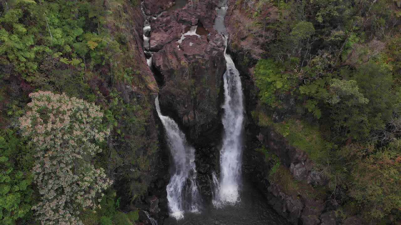 el agua cae desde lo alto de una formación rocosa selvática en el reino hawaiano.