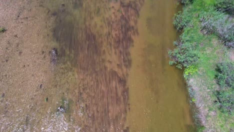 Luftflug-über-Den-Pedernales-River-Im-Reimer&#39;s-Ranch-Park