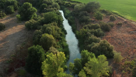 toma panorámica derecha de un arroyo y bosques en el humedal el picón de los conejos