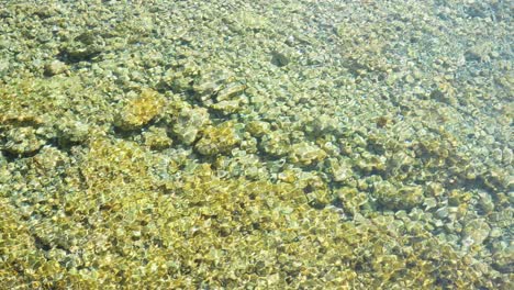 rocky shallow sea bottom and water ripples on sunny hot day