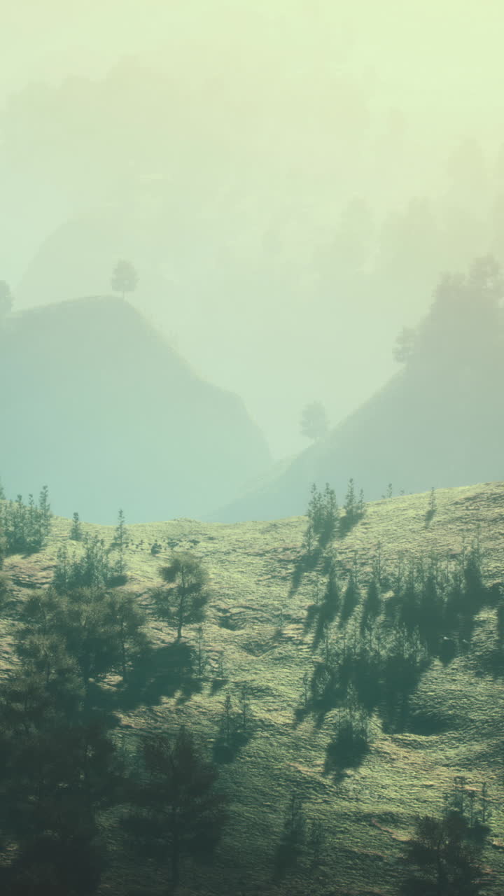 Paisaje montañoso de niebla