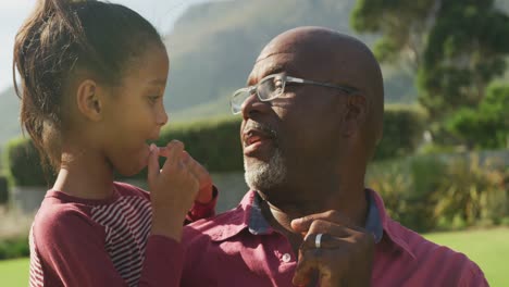 video de un feliz abuelo afroamericano y su nieta pasando tiempo juntos en el jardín
