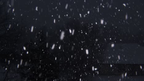 snow falling rapidly on a dark january night with a house in the background