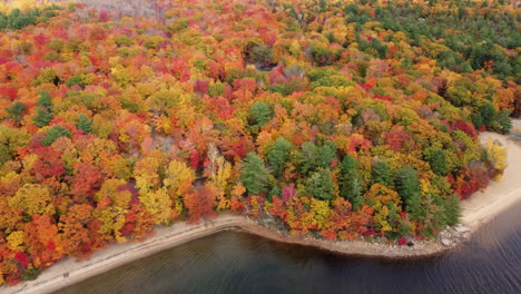 Exquisita-Vista-Superior-Impresionante-De-Los-Colores-Del-Otoño-En-Los-Bosques-Del-Parque-Provincial,-Temporada-De-Otoño-De-Canadá