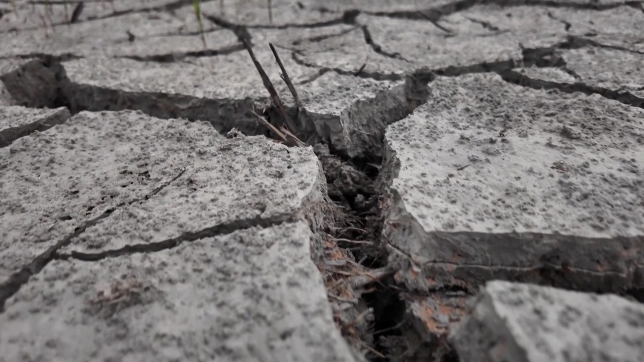 Fessure nel terreno secco durante un'ondata di calore. Cambiamento climatico nei terreni agricoli. Esaurimento del suolo