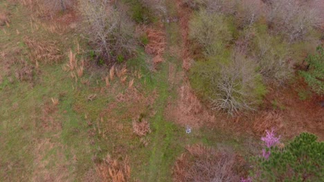 aerial of wooded forest area in eatonton, georgia