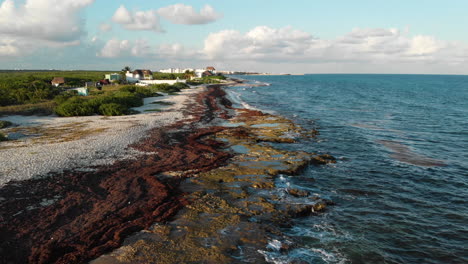 Drone-flight-over-beach-and-ocean-Playa-del-Carmen,-Mexico