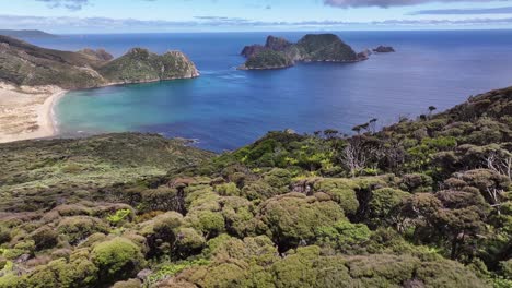 la playa de east rugged, en la isla de stewart.
