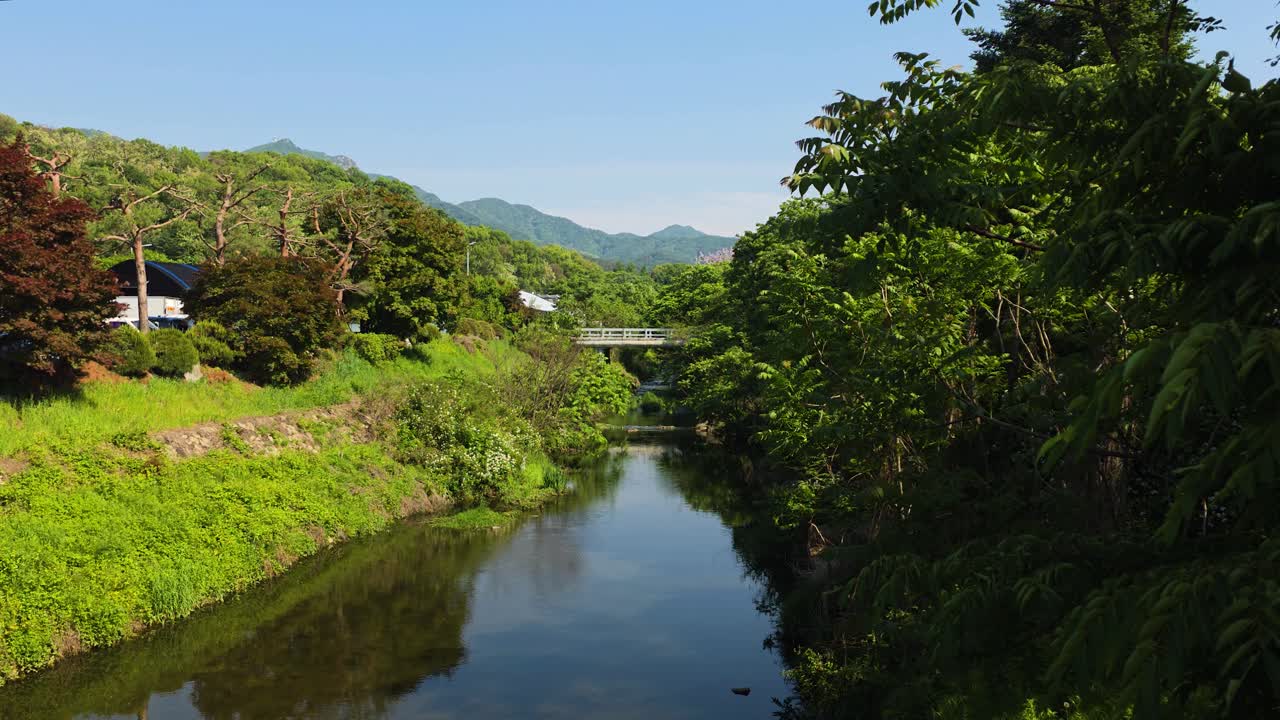 A beautiful, sunny day in Gwacheon, South Korea, where cars pass over a small bridge spanning the tranquil Yangjae Stream, surrounded by lush green foliage and distant hills.