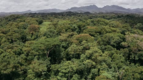 A-peaceful-flight-above-a-dense-forest-with-mountains-on-the-horizon