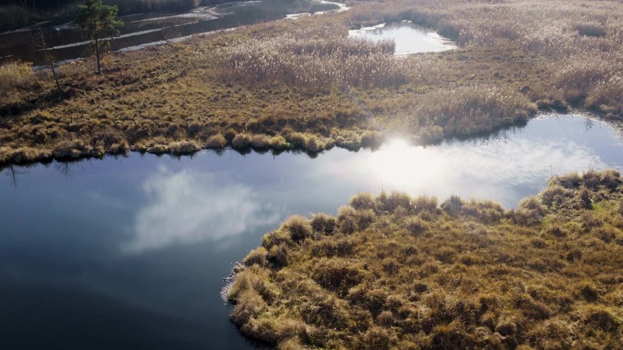 Luftfoto af en rolig flod, der strømmer gennem et marskland