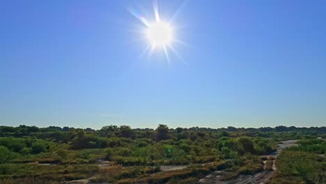 drone aerial over waist land shrubs bushes and trees with sun facing you