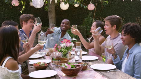 Friends-Making-A-Toast-At-Outdoor-Backyard-Party-Shot-On-R3D