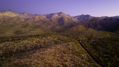 Drone-footage-flying-over-desert-with-cactus-of-all-variety